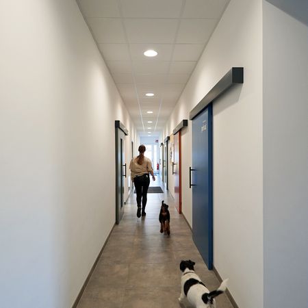 Tierarztpraxis Wiesinger